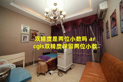 双精度是两位小数吗 arcgis双精度保留两位小数